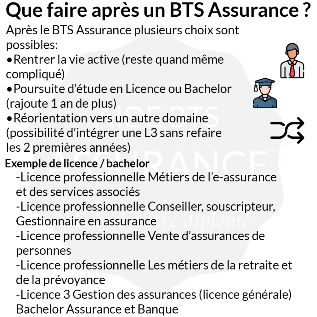 Que faire après un BTS Assurance ?