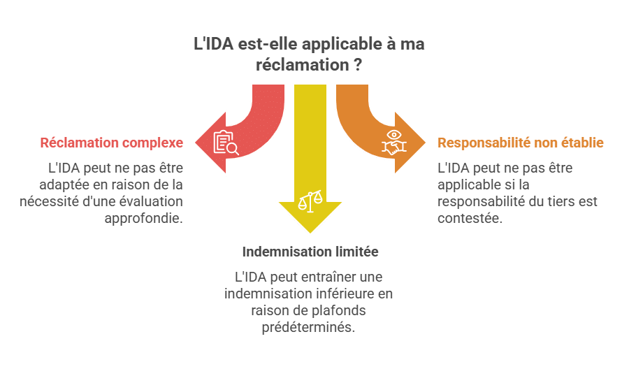 L’IDA è applicabile alla mia richiesta?