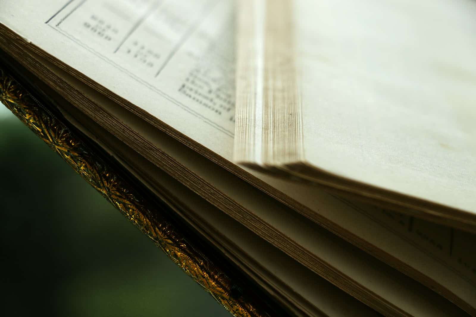 Modèle de Testament Authentique Gratuit