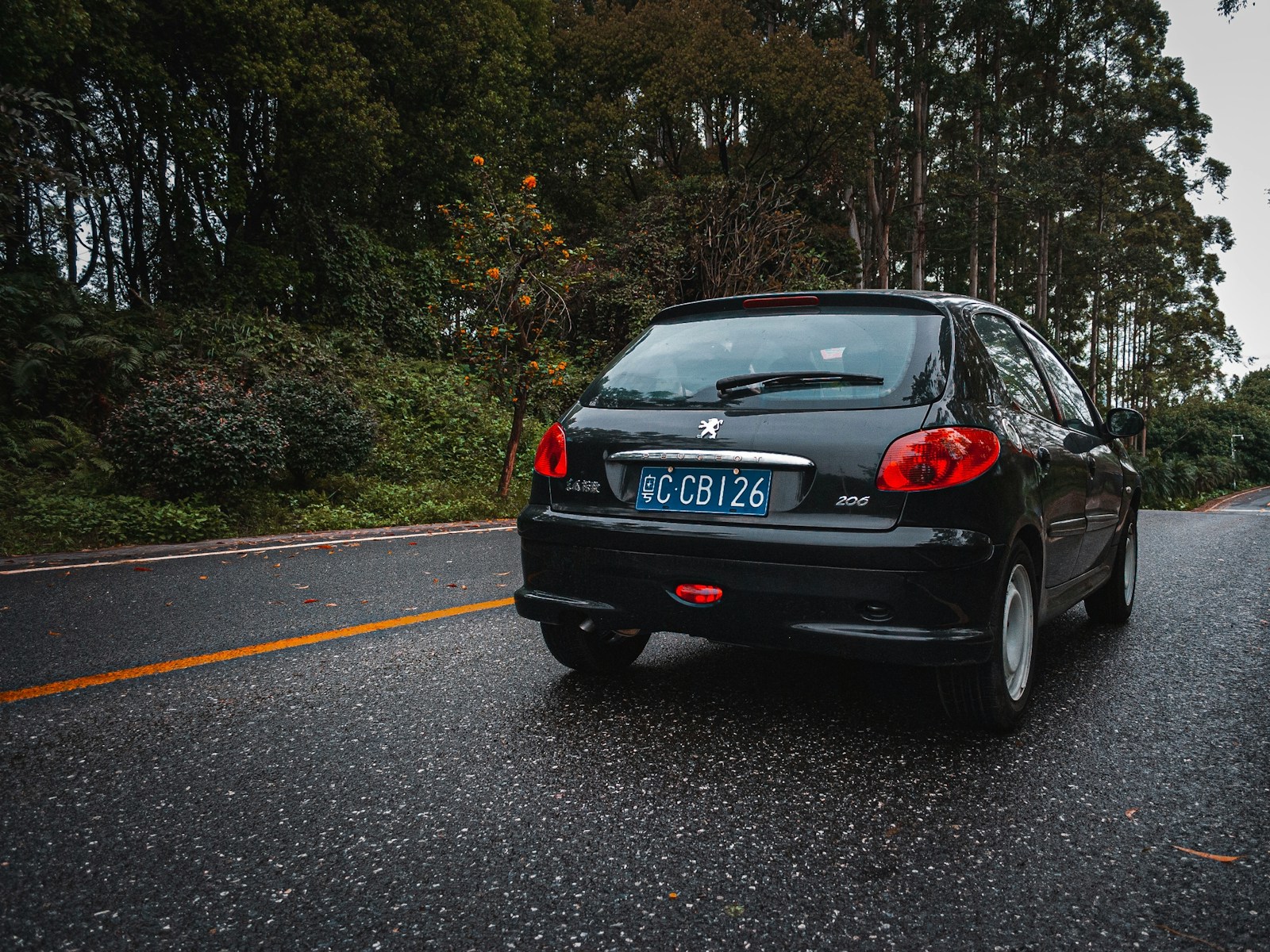 Quel Type d'Assurance Choisir pour une Peugeot 206 ?