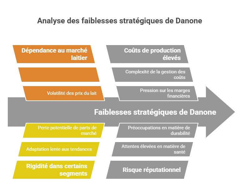 Analysis of Danone's Strategic Weaknesses