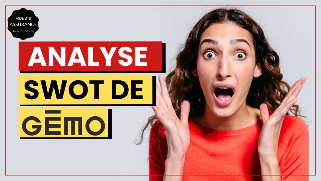 Découvrir l'analyse SWOT de la marque gémo