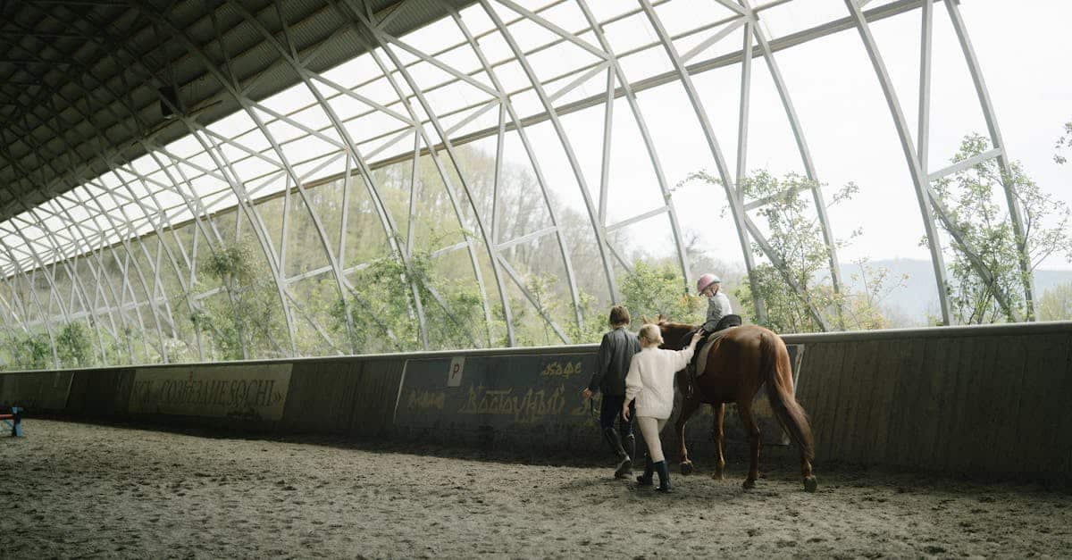 découvrez nos conseils essentiels pour le soin des chevaux, incluant l'alimentation, l'entretien du pelage et les soins vétérinaires. assurez le bien-être et la santé de votre compagnon équin grâce à nos astuces et informations pratiques.