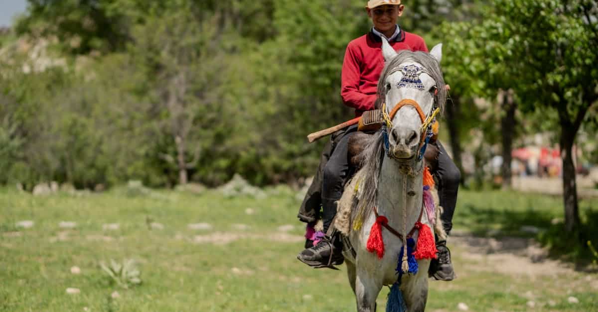 découvrez notre assurance équine complète, conçue pour protéger votre cheval contre les accidents, les maladies et les imprévus. profitez de couvertures adaptées à vos besoins et d'un accompagnement sur mesure pour garantir la sécurité de votre compagnon à quatre pattes.