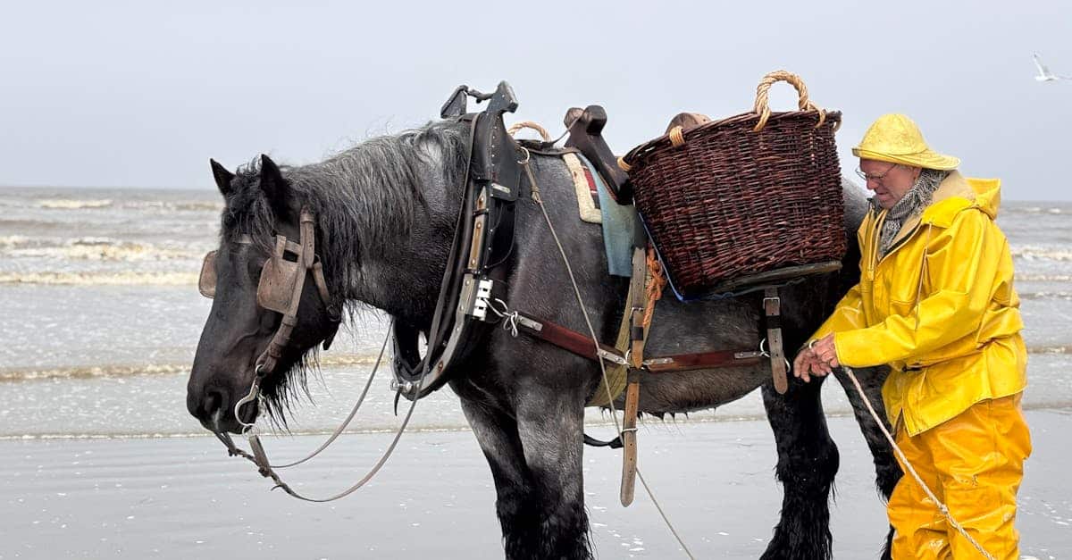 découvrez notre assurance pour chevaux, conçue pour protéger votre compagnon équin contre les accidents, maladies et autres imprévus. profitez d'une couverture complète, d'un service client réactif et de solutions adaptées à vos besoins. assurez la santé et le bien-être de votre cheval dès aujourd'hui !