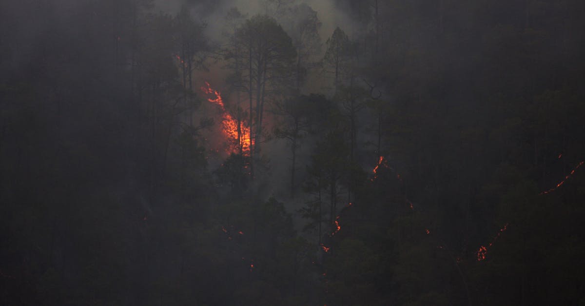 découvrez l'impact dévastateur des catastrophes naturelles sur notre planète. explorez les causes, les effets et les mesures de prévention pour mieux comprendre ces phénomènes intempestifs et leur influence sur les écosystèmes et les sociétés.