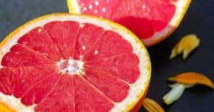découvrez zesto, votre nouvelle destination pour des saveurs uniques et des expériences inoubliables. plongez dans un monde de délices culinaires où chaque bouchée vous transporte dans un voyage gustatif exceptionnel. explorez nos offres et rejoignez-nous pour savourer l'instant.
