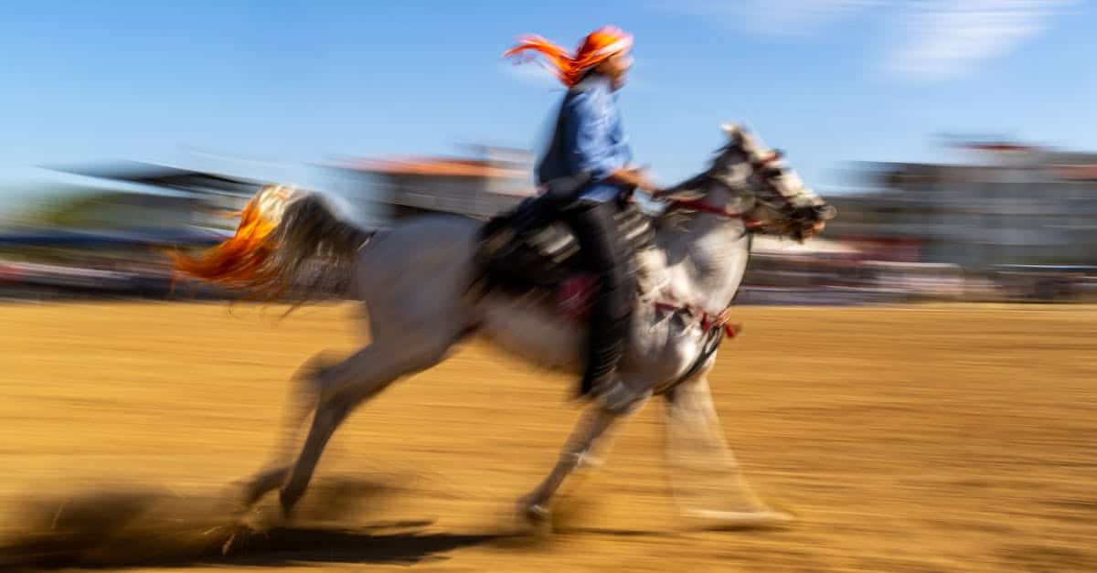 découvrez notre assurance équine complète, conçue pour protéger votre cheval contre les imprévus de la vie. bénéficiez de tarifs compétitifs et d'une couverture adaptée à vos besoins pour garantir le bien-être de votre compagnon.