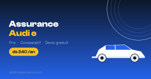 Assurance Audi e