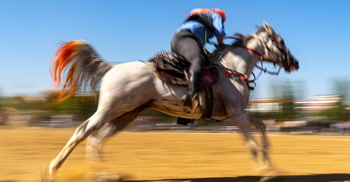 protégez votre équidé avec une assurance cheval adaptée à vos besoins. découvrez des options complètes pour couvrir les frais vétérinaires, les accidents et autres imprévus, afin de garantir le bien-être de votre compagnon à fourrure.