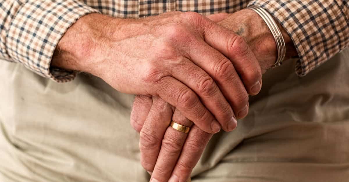 découvrez notre pension confortable offrant un cadre paisible et accueillant pour vos animaux de compagnie. profitez de services de qualité, d'une attention personnalisée et d'activités enrichissantes pour garantir le bien-être de votre fidèle compagnon pendant votre absence.