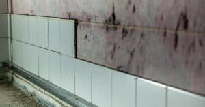 Découvrez les démarches à suivre pour réagir face à un logement insalubre. Conseils, recours et droits : tout ce qu’un locataire doit savoir pour se protéger et améliorer ses conditions de vie.