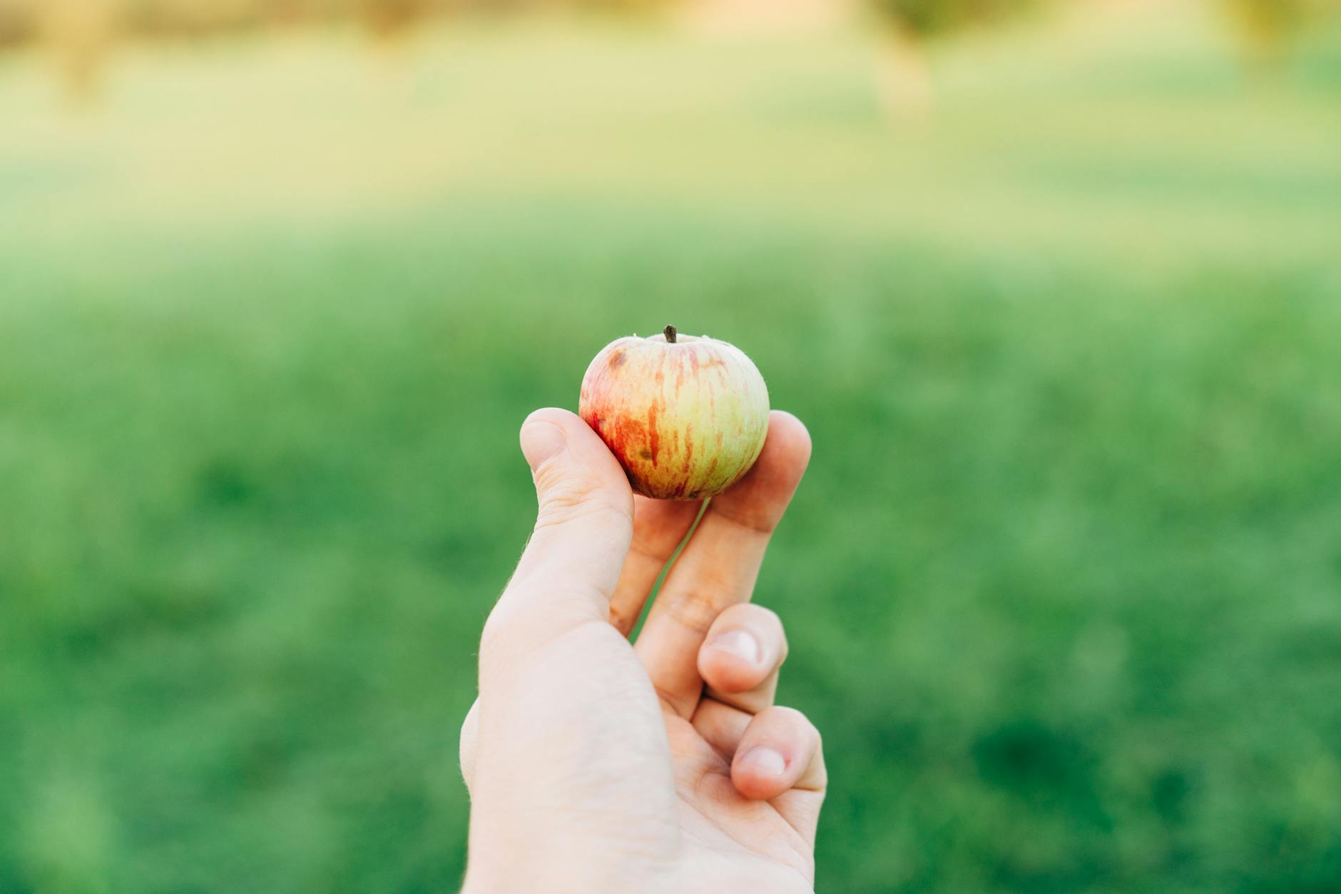 Analyse PESTEL Apple : les 6 facteurs qui façonnent sa stratégie